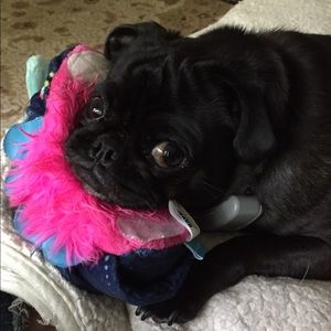 Meet your Posher, Sandi